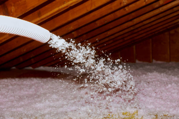 Best Insulation Replacement Services  in New Madrid, MO