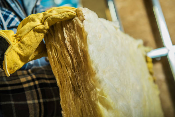 Best Fiberglass Insulation  in New Madrid, MO