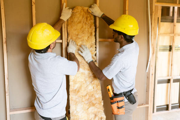 Best Insulation Contractors for Homes  in New Madrid, MO