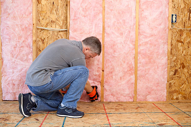 Best Insulation Inspection Services  in New Madrid, MO