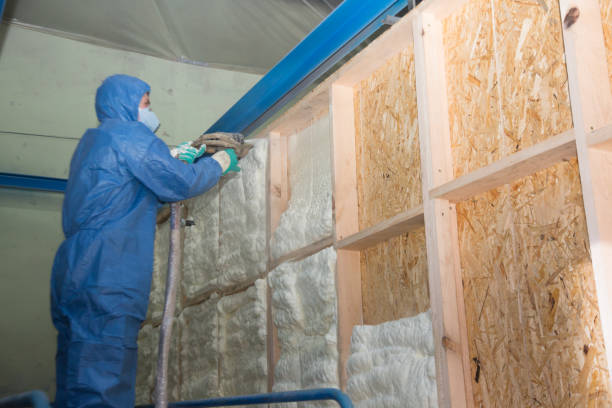 Best Cellulose Insulation  in New Madrid, MO