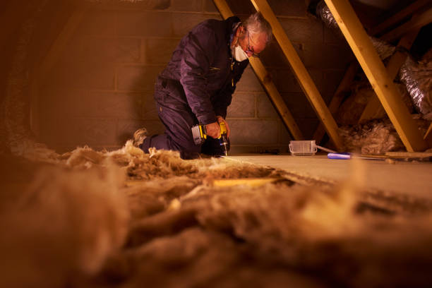 Best Garage Insulation Installation  in New Madrid, MO