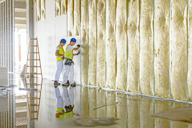 Best Professional Insulation Contractor  in New Madrid, MO